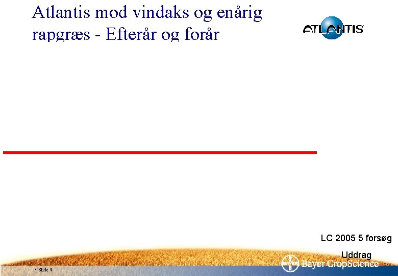 Atlantis mod vindaks og enårig rapgræs - Efterår og forår LC 2005 5 forsøg