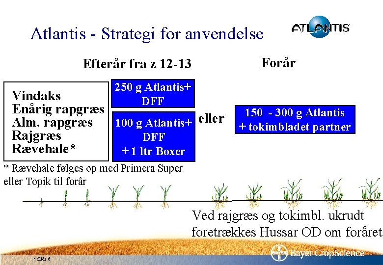 Atlantis - Strategi for anvendelse Efterår fra z 12 -13 250 g Atlantis+ DFF