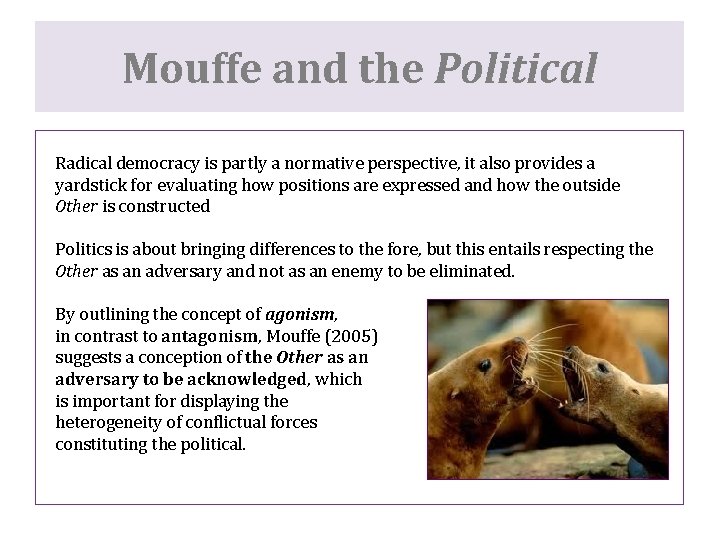 Mouffe and the Political Radical democracy is partly a normative perspective, it also provides