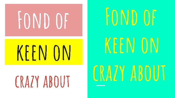Fond of keen on crazy about 