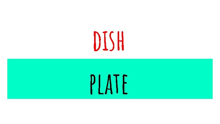 dish plate 