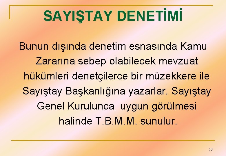 SAYIŞTAY DENETİMİ Bunun dışında denetim esnasında Kamu Zararına sebep olabilecek mevzuat hükümleri denetçilerce bir