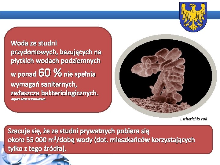 Woda ze studni przydomowych, bazujących na płytkich wodach podziemnych 60 % w ponad nie