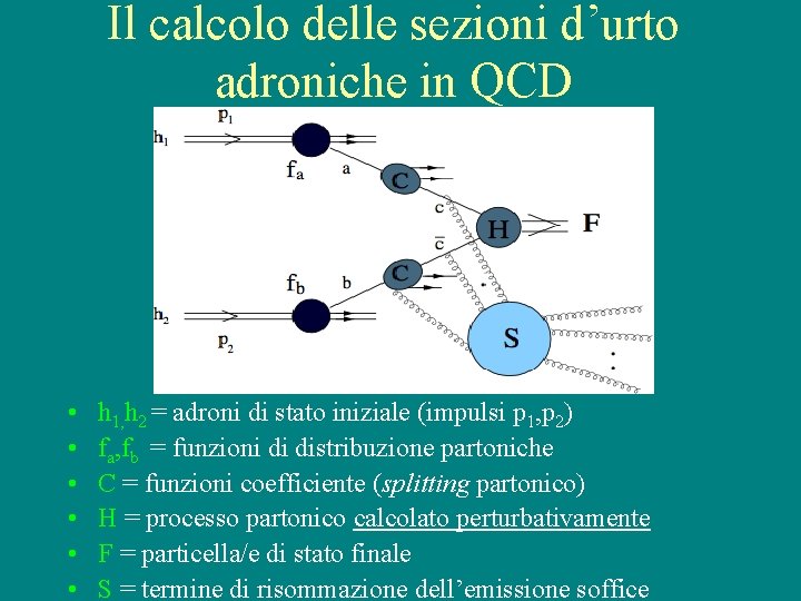 Il calcolo delle sezioni d’urto adroniche in QCD • • • h 1, h