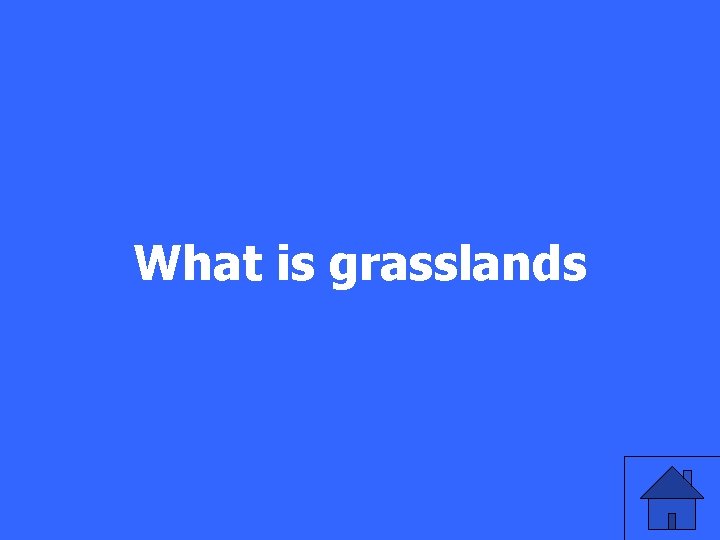 What is grasslands 