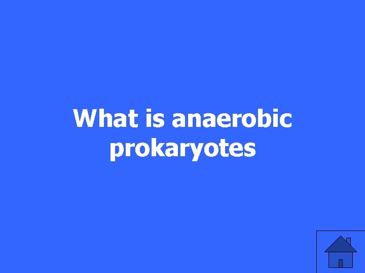 What is anaerobic prokaryotes 