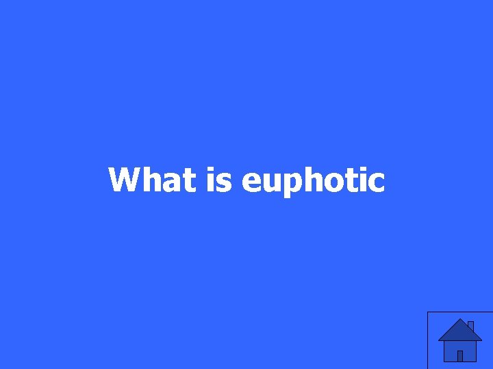 What is euphotic 