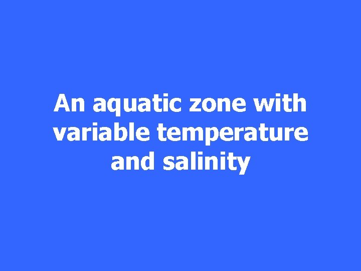 An aquatic zone with variable temperature and salinity 