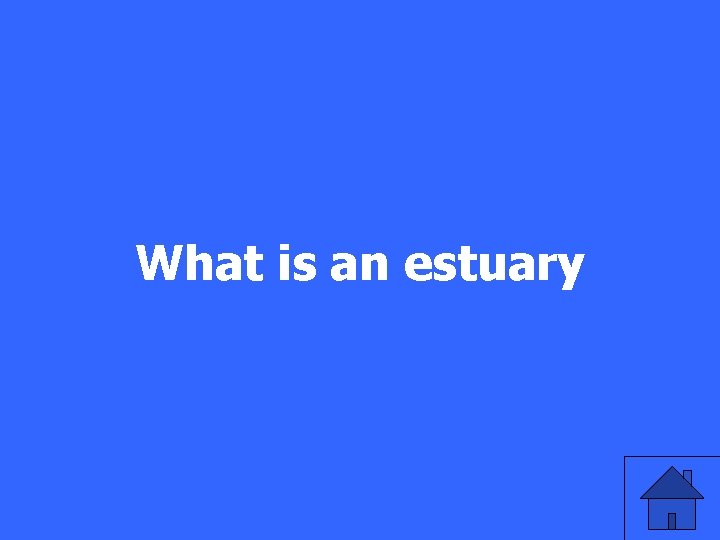 What is an estuary 