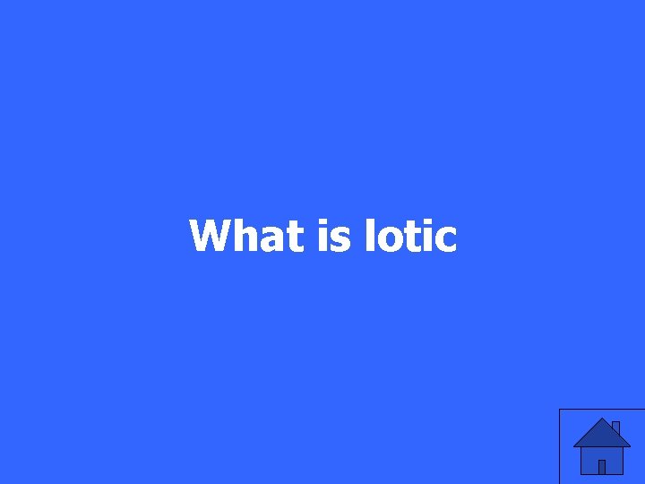 What is lotic 