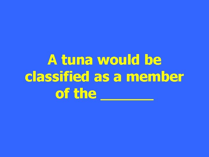 A tuna would be classified as a member of the ______ 