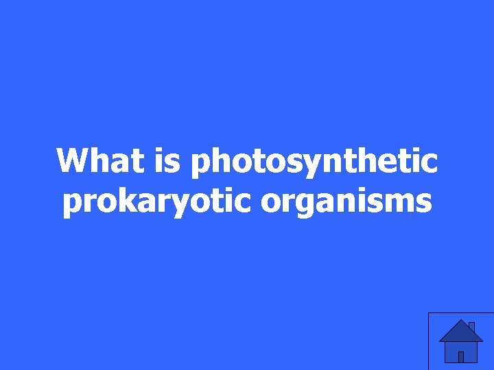 What is photosynthetic prokaryotic organisms 