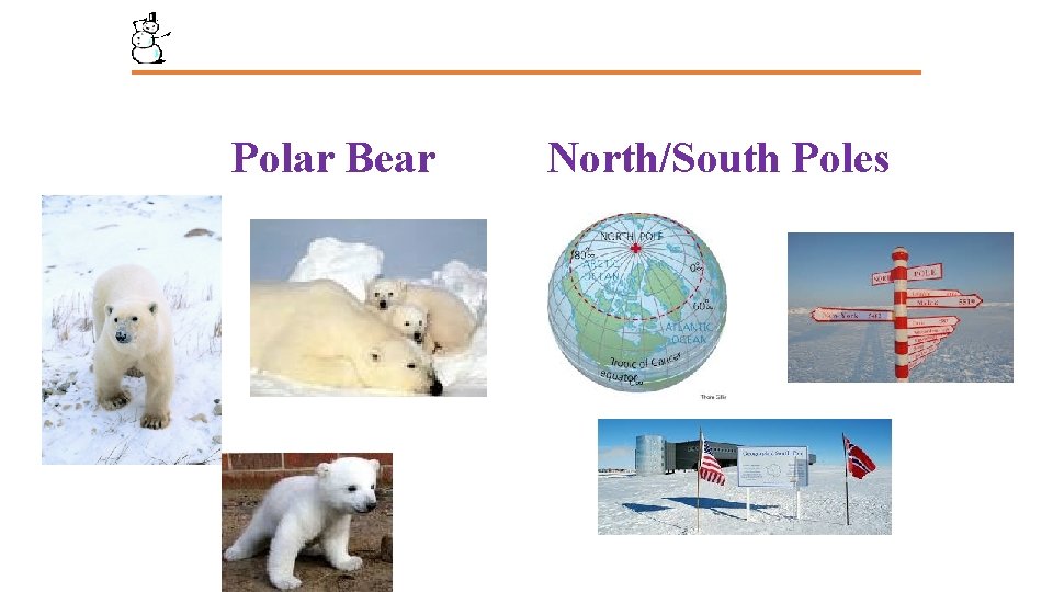 Polar Bear North/South Poles Polar Bear North/South Poles
