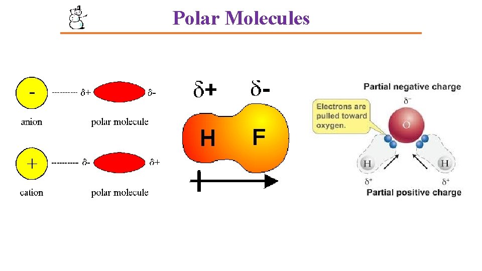 Polar Molecules Polar Molecules