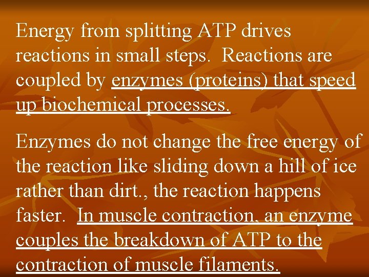 Energy from splitting ATP drives reactions in small steps. Reactions are coupled by enzymes