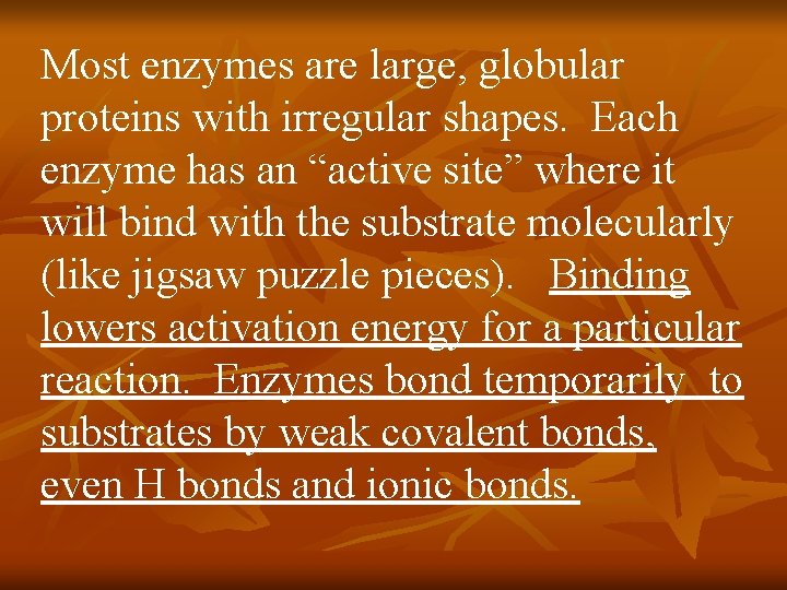 Most enzymes are large, globular proteins with irregular shapes. Each enzyme has an “active