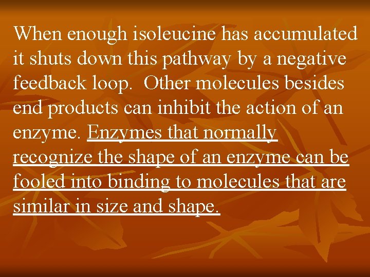 When enough isoleucine has accumulated it shuts down this pathway by a negative feedback