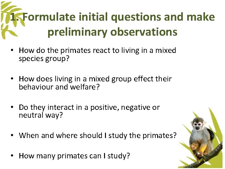 1. Formulate initial questions and make preliminary observations • How do the primates react 1. Formulate initial questions and make preliminary observations • How do the primates react