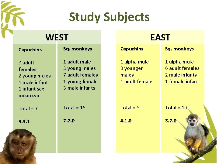Study Subjects WEST EAST Capuchins Sq. monkeys 3 adult females 2 young males 1 Study Subjects WEST EAST Capuchins Sq. monkeys 3 adult females 2 young males 1
