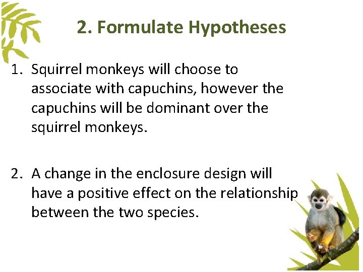 2. Formulate Hypotheses 1. Squirrel monkeys will choose to associate with capuchins, however the 2. Formulate Hypotheses 1. Squirrel monkeys will choose to associate with capuchins, however the