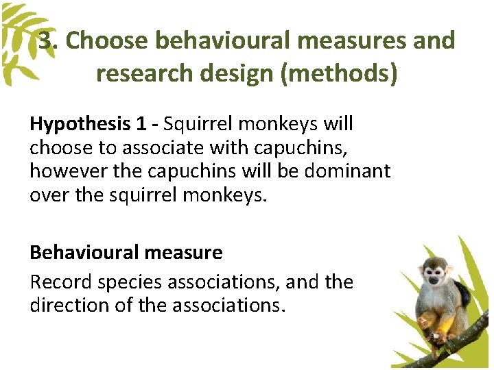 3. Choose behavioural measures and research design (methods) Hypothesis 1 - Squirrel monkeys will 3. Choose behavioural measures and research design (methods) Hypothesis 1 - Squirrel monkeys will
