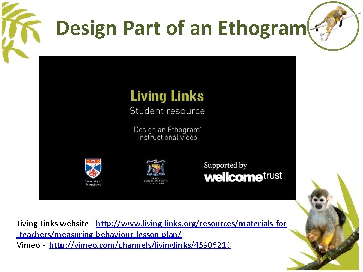 Design Part of an Ethogram Living Links website - http: //www. living-links. org/resources/materials-for -teachers/measuring-behaviour-lesson-plan/ Design Part of an Ethogram Living Links website - http: //www. living-links. org/resources/materials-for -teachers/measuring-behaviour-lesson-plan/