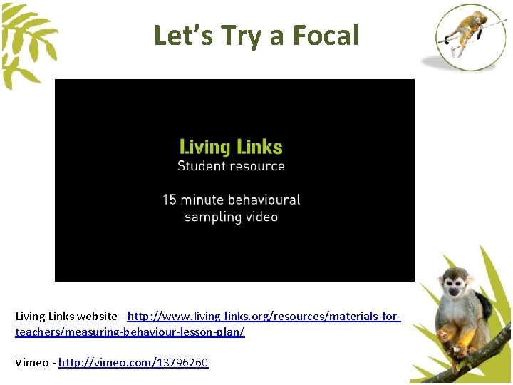 Let’s Try a Focal Living Links website - http: //www. living-links. org/resources/materials-forteachers/measuring-behaviour-lesson-plan/ Vimeo - Let’s Try a Focal Living Links website - http: //www. living-links. org/resources/materials-forteachers/measuring-behaviour-lesson-plan/ Vimeo -