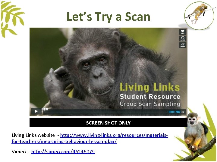 Let’s Try a Scan SCREEN SHOT ONLY Living Links website - http: //www. living-links. Let’s Try a Scan SCREEN SHOT ONLY Living Links website - http: //www. living-links.