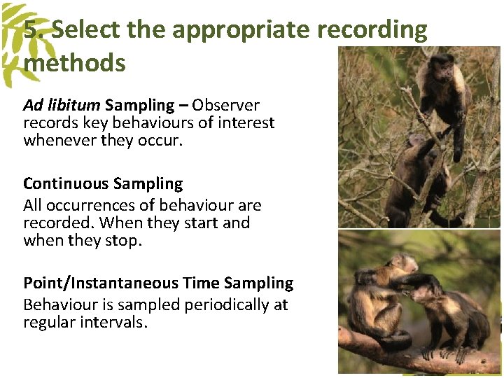 5. Select the appropriate recording methods Ad libitum Sampling – Observer records key behaviours 5. Select the appropriate recording methods Ad libitum Sampling – Observer records key behaviours