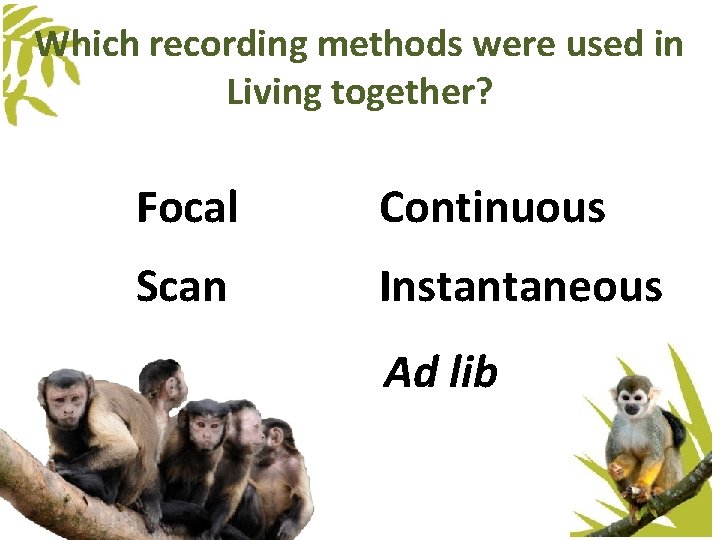 Which recording methods were used in Living together? Focal Continuous Scan Instantaneous Ad lib Which recording methods were used in Living together? Focal Continuous Scan Instantaneous Ad lib