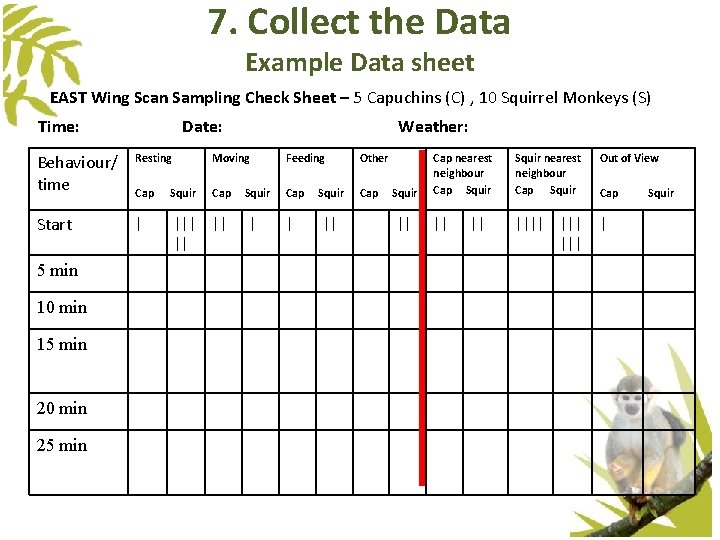 7. Collect the Data Example Data sheet EAST Wing Scan Sampling Check Sheet – 7. Collect the Data Example Data sheet EAST Wing Scan Sampling Check Sheet –