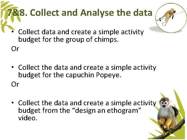 7&8. Collect and Analyse the data • Collect data and create a simple activity 7&8. Collect and Analyse the data • Collect data and create a simple activity