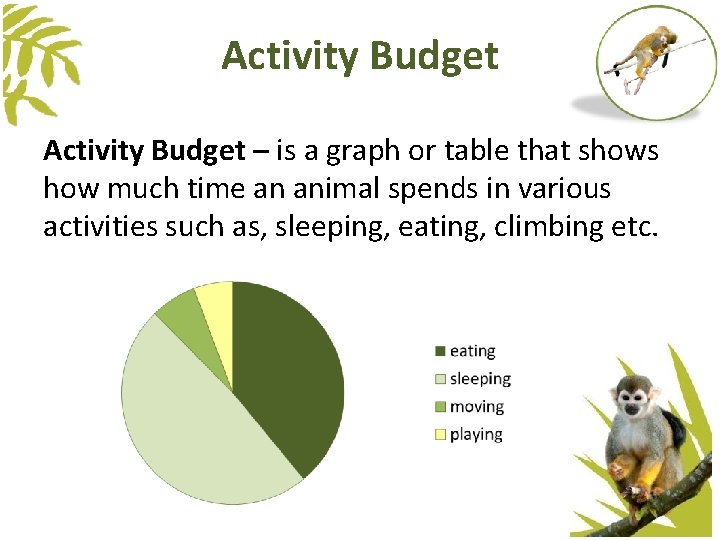 Activity Budget – is a graph or table that shows how much time an Activity Budget – is a graph or table that shows how much time an