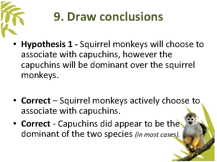 9. Draw conclusions • Hypothesis 1 - Squirrel monkeys will choose to associate with 9. Draw conclusions • Hypothesis 1 - Squirrel monkeys will choose to associate with