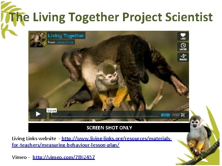 The Living Together Project Scientist SCREEN SHOT ONLY Living Links website - http: //www. The Living Together Project Scientist SCREEN SHOT ONLY Living Links website - http: //www.