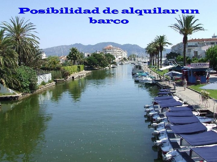 Posibilidad de alquilar un barco 