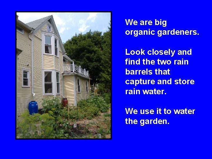 We are big organic gardeners. Look closely and find the two rain barrels that