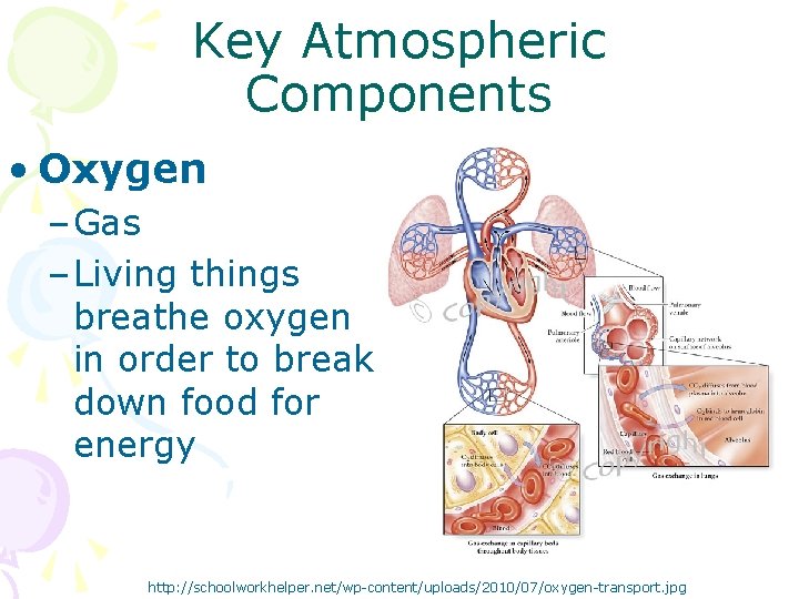 Key Atmospheric Components • Oxygen – Gas – Living things breathe oxygen in order