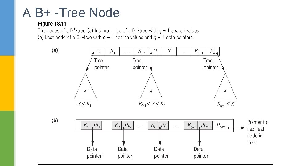 A B+ -Tree Node 