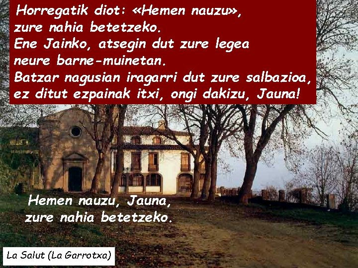 Horregatik diot: «Hemen nauzu» , zure nahia betetzeko. Ene Jainko, atsegin dut zure legea