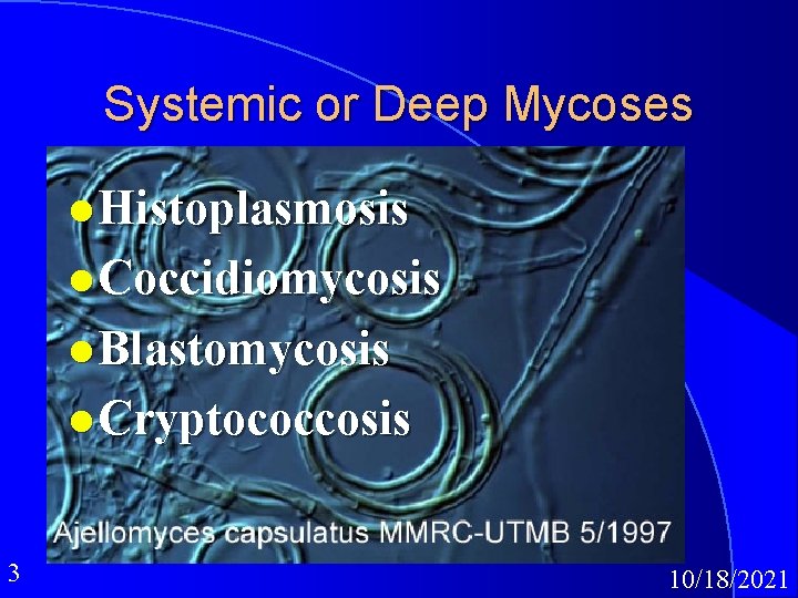 Systemic or Deep Mycoses l Histoplasmosis l Coccidiomycosis l Blastomycosis l Cryptococcosis 3 10/18/2021