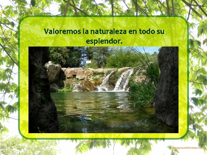 Valoremos la naturaleza en todo su esplendor. 