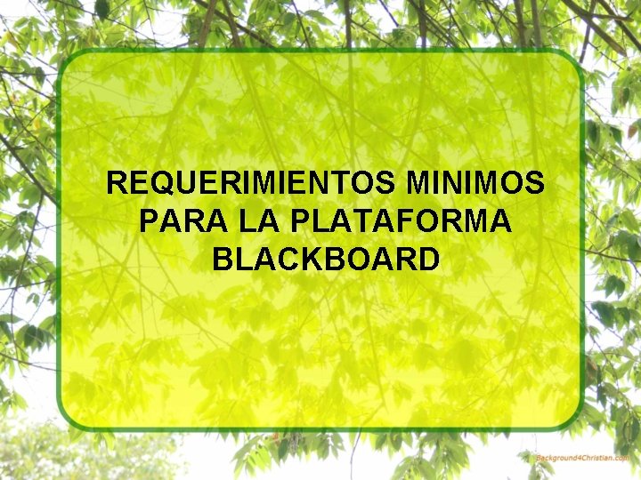 REQUERIMIENTOS MINIMOS PARA LA PLATAFORMA BLACKBOARD 