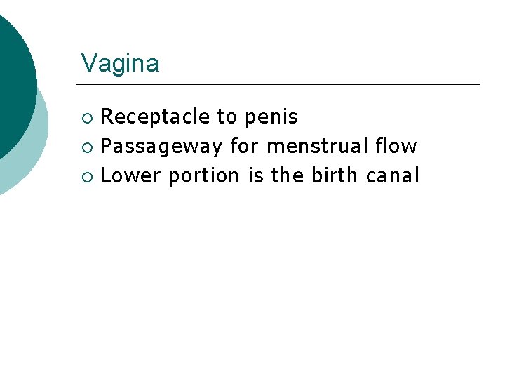 Vagina Receptacle to penis ¡ Passageway for menstrual flow ¡ Lower portion is the
