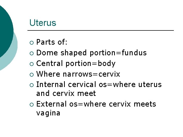 Uterus Parts of: ¡ Dome shaped portion=fundus ¡ Central portion=body ¡ Where narrows=cervix ¡