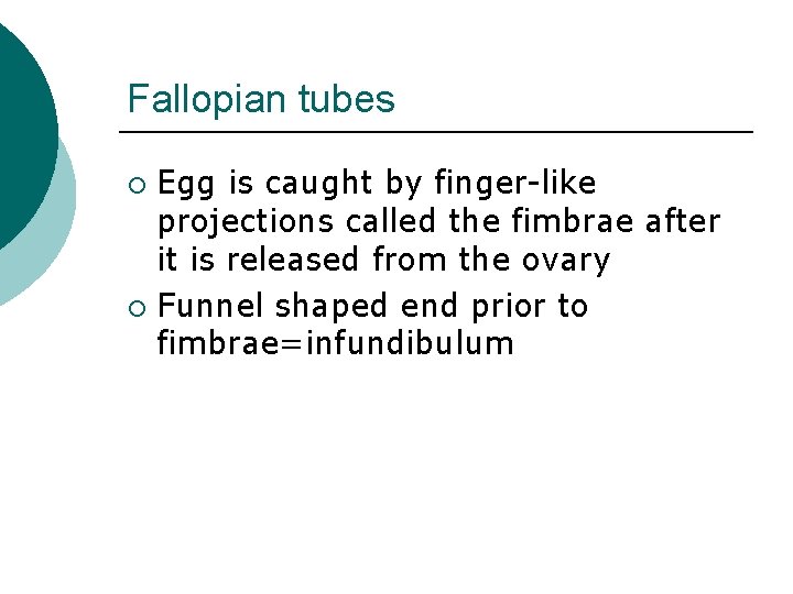 Fallopian tubes Egg is caught by finger-like projections called the fimbrae after it is