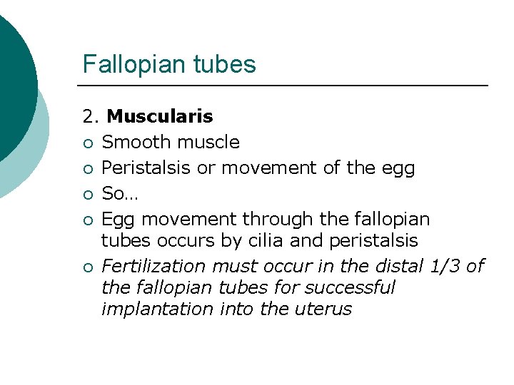 Fallopian tubes 2. Muscularis ¡ Smooth muscle ¡ Peristalsis or movement of the egg