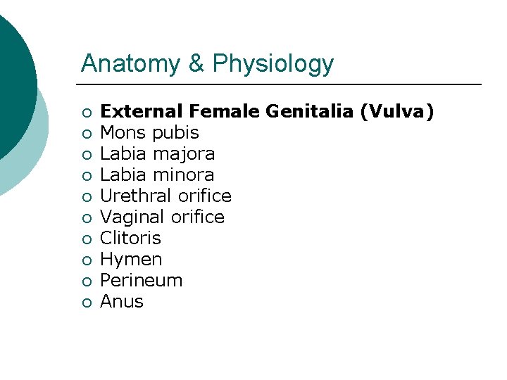 Anatomy & Physiology ¡ ¡ ¡ ¡ ¡ External Female Genitalia (Vulva) Mons pubis