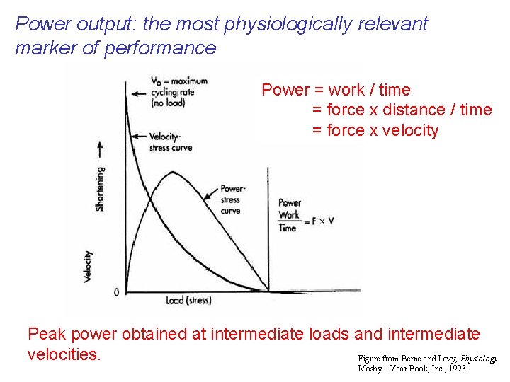 Power output: the most physiologically relevant marker of performance Power = work / time