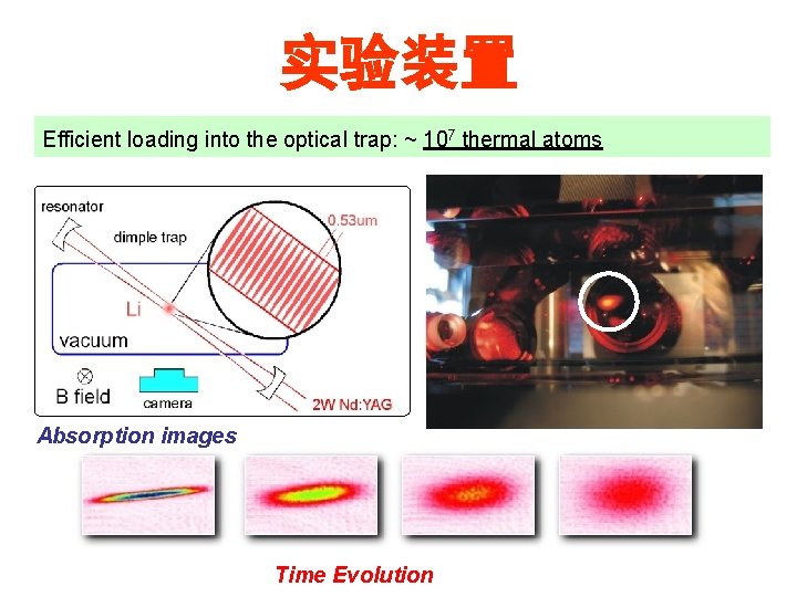 实验装置 Efficient loading into the optical trap: ~ 107 thermal atoms Absorption images Time